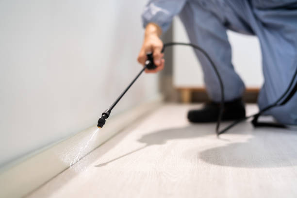 Licensed Mosquito Control service in Chicago, IL - Nex Pest Control