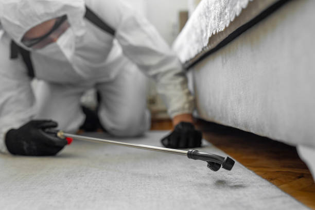 Professional Mosquito Control technician working in Chicago, IL