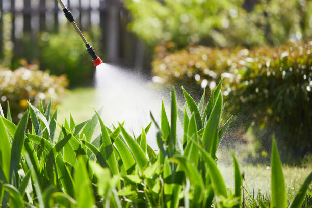 24/7 Emergency Mosquito Control experts in Chicago, IL