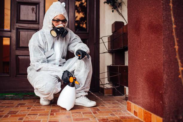 Reliable Mosquito Control contractor in Chicago, IL by Nex Pest Control