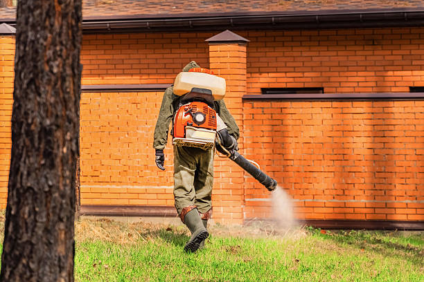 Top rated local Mosquito Control specialists in Chicago, IL